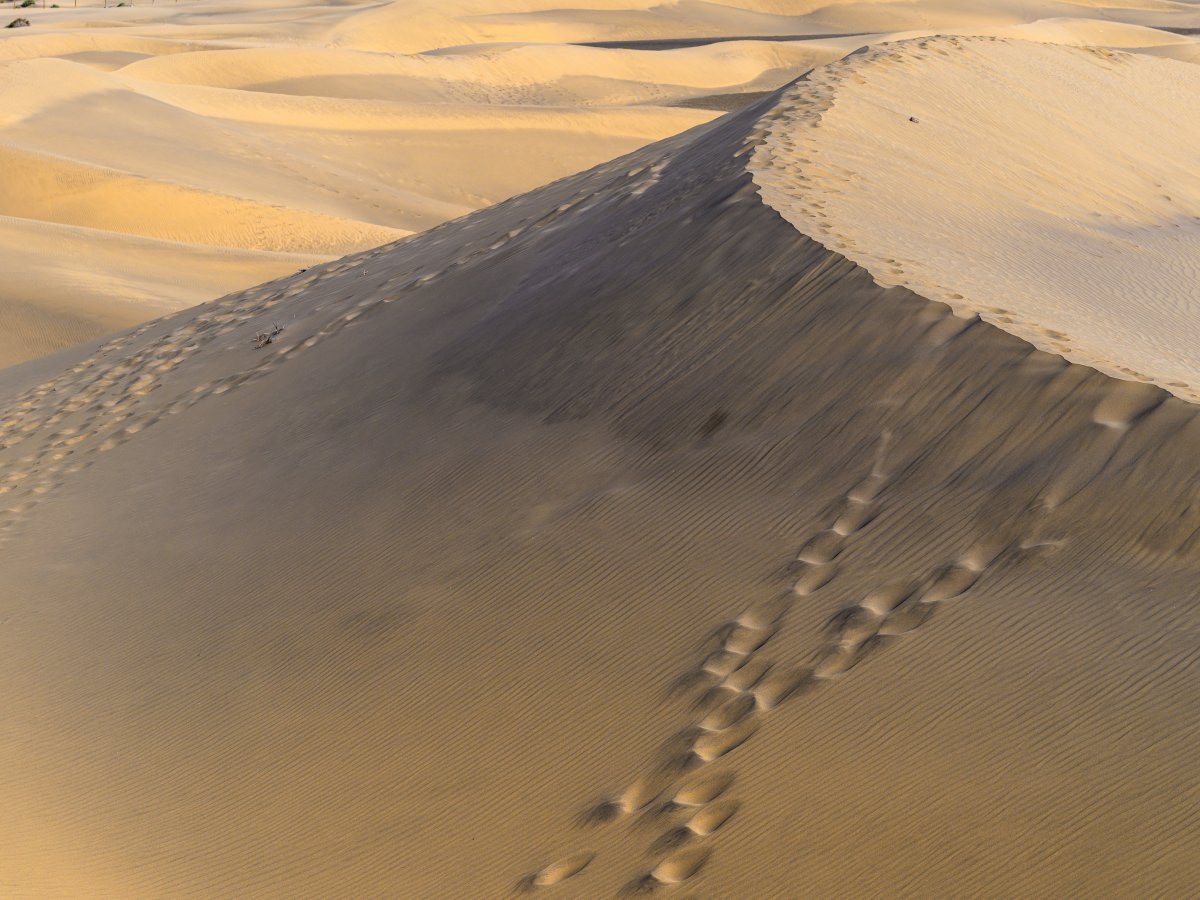 2 sets of footprints thru desert sand dunes